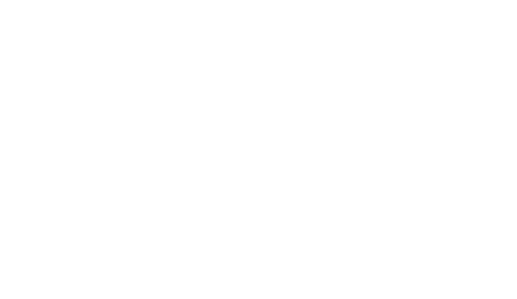 We356
